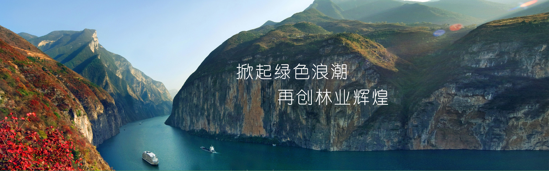龙8官网